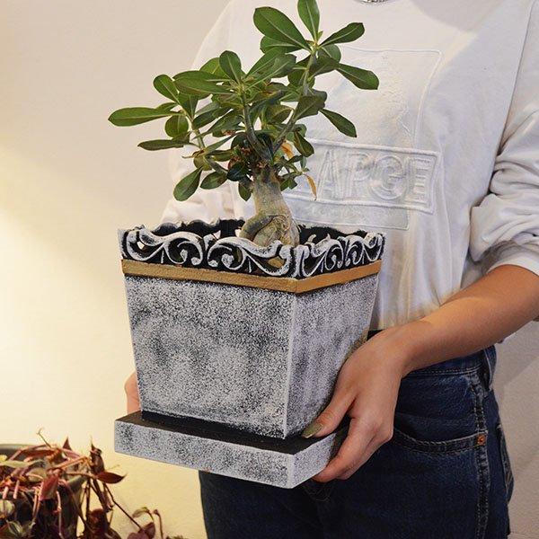 アジアン バリ 雑貨 ♪バリ島の鉢カバーホワイトS（3〜5号小鉢