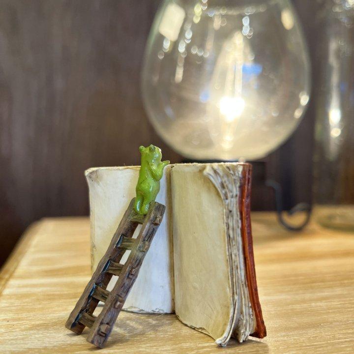 アジアン バリ 雑貨 ♪はしごで覗くカエルさん♪ インテリア おしゃれ