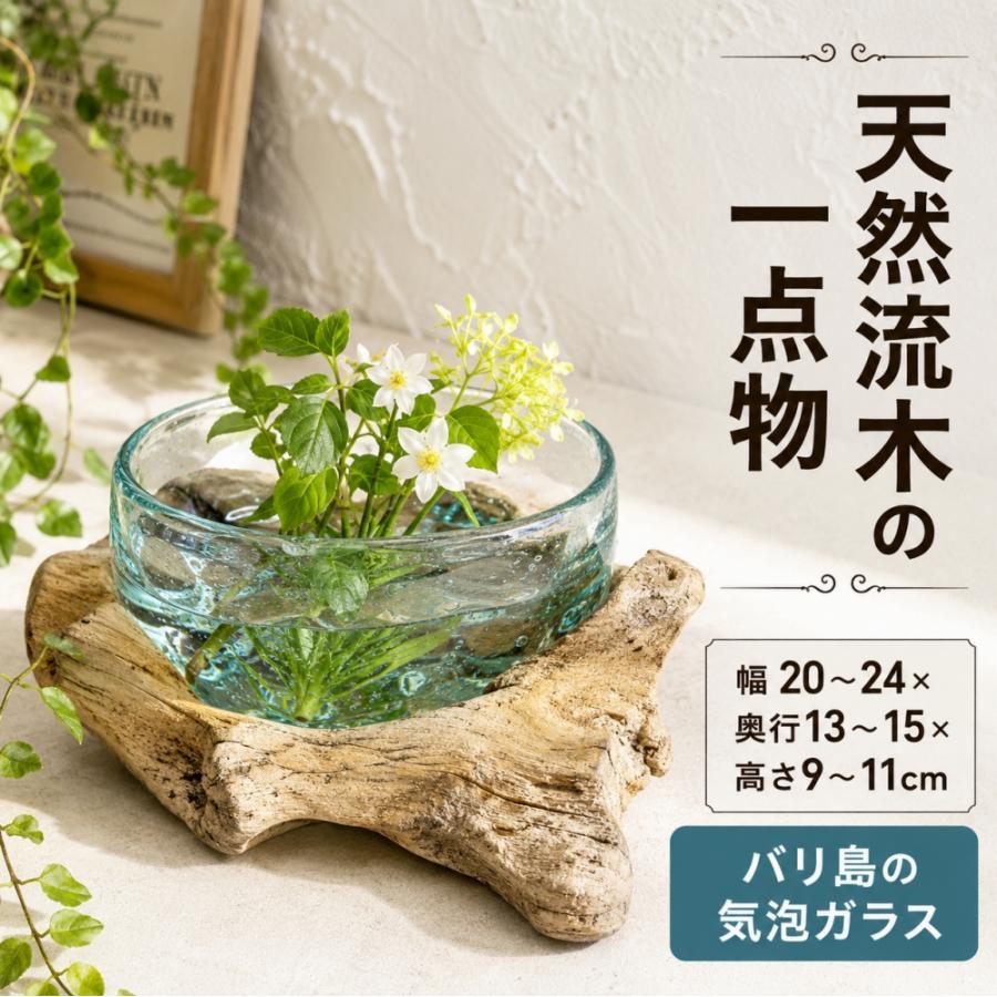 流木 インテリア ガラス 花器 玄関 | 【7月上旬入荷予定】天然流木の 