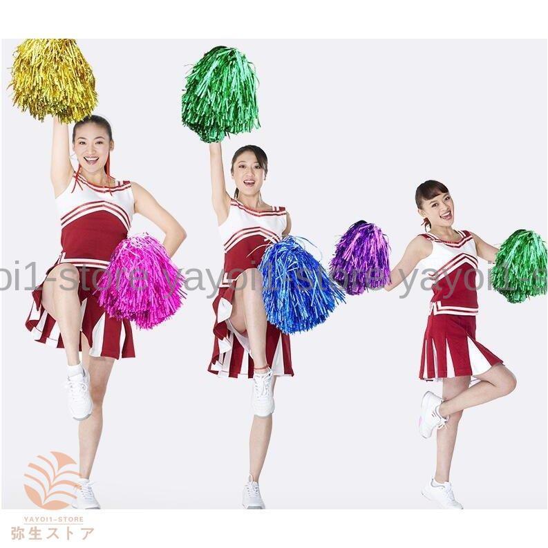 チアリーディングポムス?ボール 応援団 手花ポンポン 活動 祝日 祭典