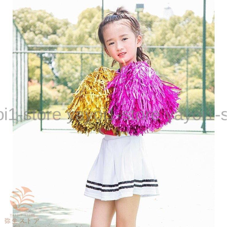 チアリーディングポムス?ボール 応援団 手花ポンポン 活動 祝日 祭典