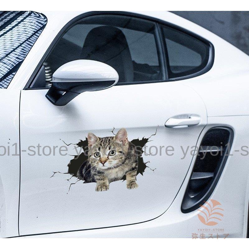 のぞき見 猫 ステッカー シール デカール 車 カー バイク ねこ ネコ 覗き見