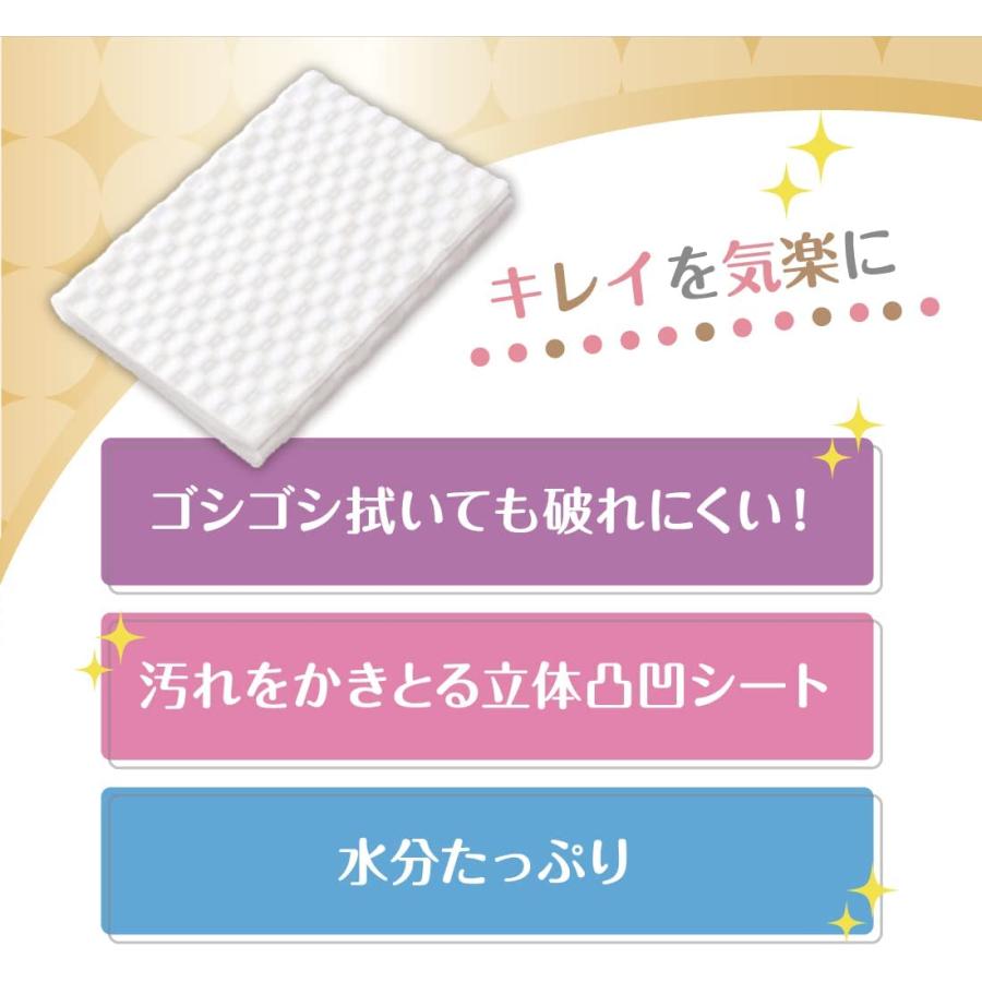 エリエール キレキラ ! トイレクリーナー 本体 シトラスミントの香り 10枚 1枚で徹底おそうじシート 本体(10枚)｜yayoigen｜05