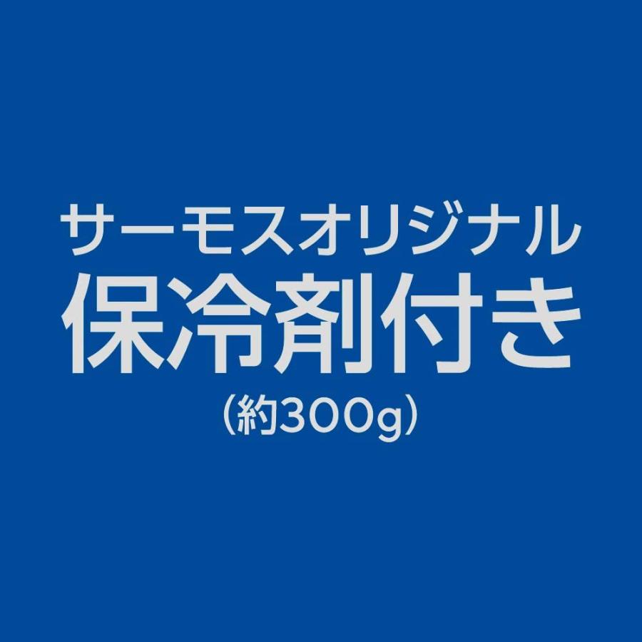 サーモス スポーツ保冷バッグ 3L ブルーシルバー 保冷剤付き REY-003 BLSL｜yayoigen｜04