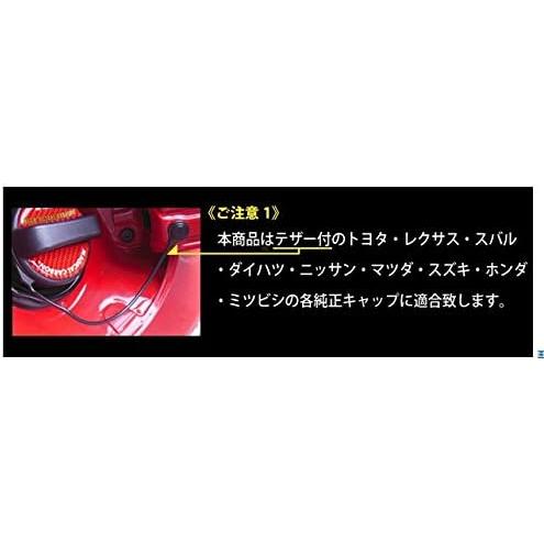 HASEPRO ( ハセ・プロ ) マジカルカーボン【ホログラム フューエルキャップエンブレム】(レッド) ホンダ (レギュラー用) HOFER-4R レッド｜yayoigen｜03