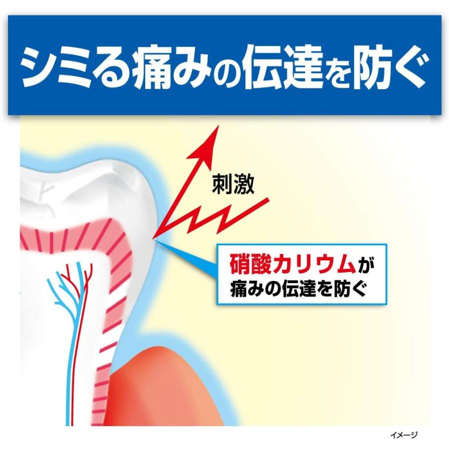 ハウメル 知覚過敏ケア ペースト 薬用ハミガキ 100g 歯の穴を埋める 小林製薬 【医薬部外品】 1個｜yayoigen｜05