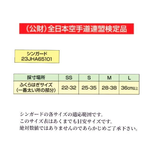 mizuno　シンガード |  | 01