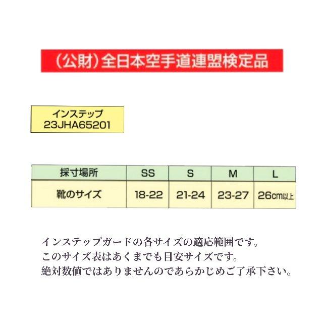 mizuno　インステップガード |  | 01