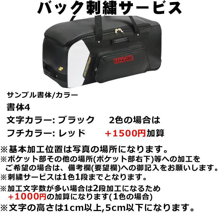 丁紹光、『石の庭』、希少な画集より、新品額装付、マット額装付き 3