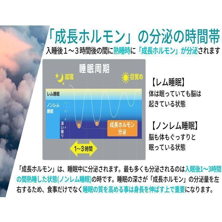 NOBITA ノビタ ジュニア用 プロテイン ソイプロテイン spazio 成長 回復 小学生 中学生 FD0002 キッズプロテイン ココア味 600g｜ybc｜05