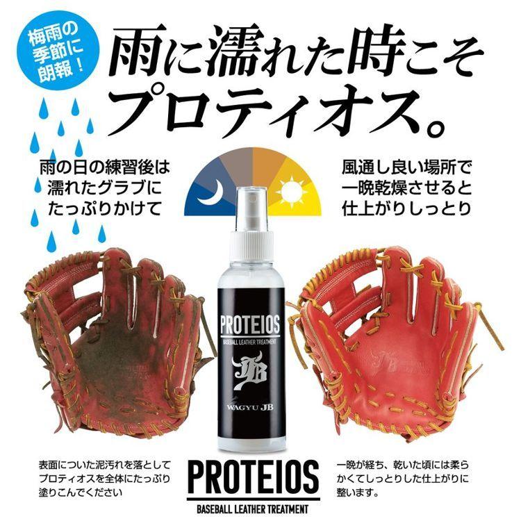 プロティオス PROTEIOS グローブメンテナンス WAGYU JB 和牛JB お