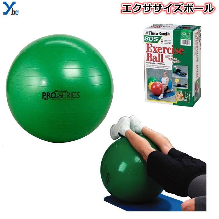 D&M ディーエム エクササイズボール 65cm ボディーケア トレーニング