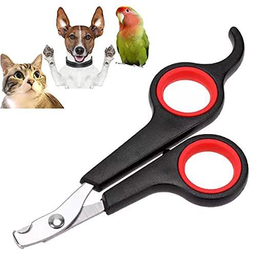 希望者のみラッピング無料 Tommyfield うさぎ 12cm インコ 猫 鳥 犬 爪切り ペット ペット用爪切り オウム お手入れ用品