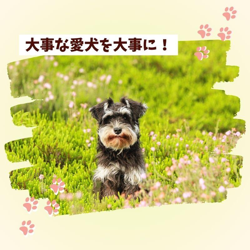 ユリナリーS/O 【5個セット】ロイヤルカナン 犬 ユリナリーs/o