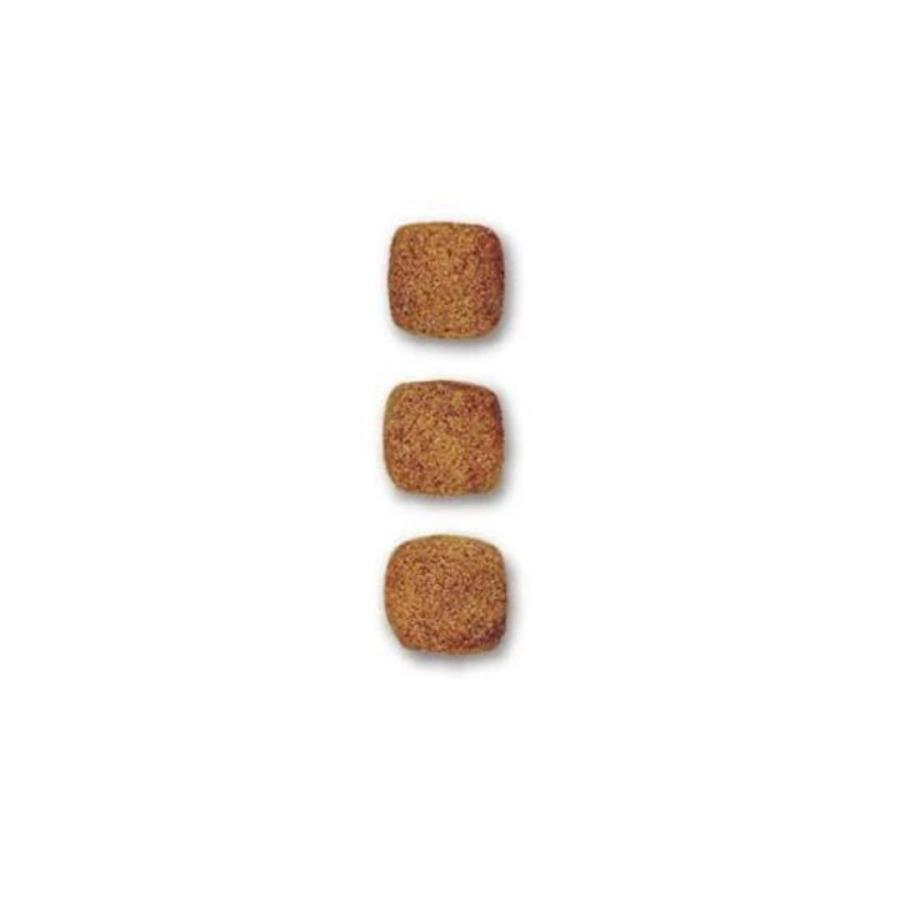 ユリナリーS/O ロイヤルカナン 犬 ユリナリー S/O エイジング7+ ユリナリーS/O ロイヤルカナン 犬 ユリナリー S/O エイジング7+