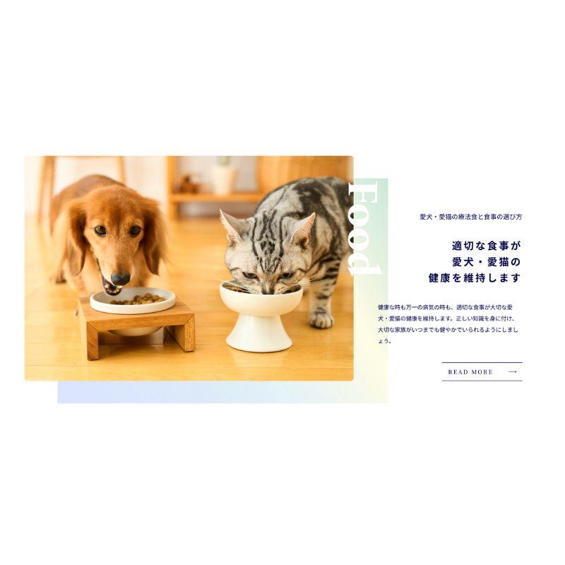 Dr.'s Care ドクターズケア 猫 ストルバイトケア ライト 1.5kg : SBS