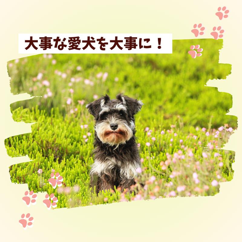 ロイヤルカナン（ROYAL CANIN） 犬 消化器サポート 低脂肪 小型犬用S