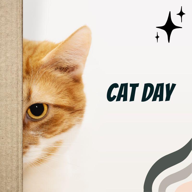 ロイヤルカナン（ROYAL CANIN） 猫 ニュータードケア ドライ 1.5kg