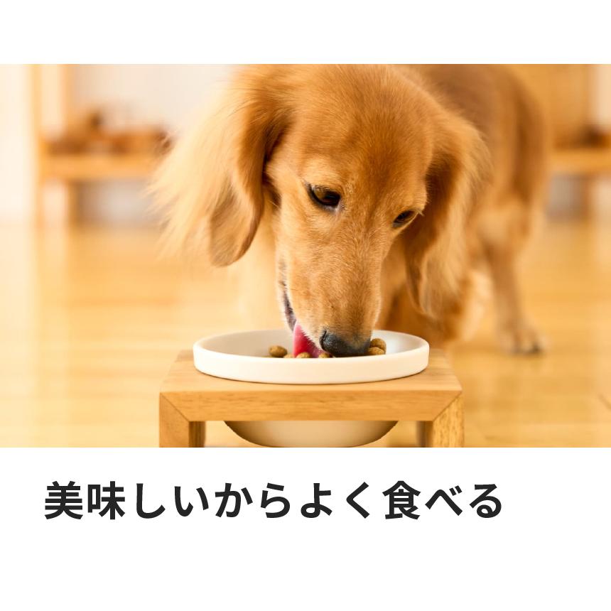 ドクターズケア 犬用 アミノプロテクトケア 3kg｜yckey-store｜03