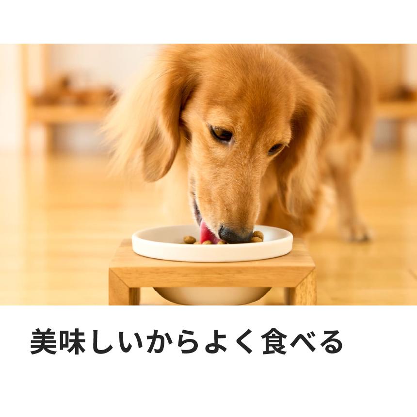 ペットライン ドクターズケア 犬 アミノプロテクトケア えんどう豆 3kg