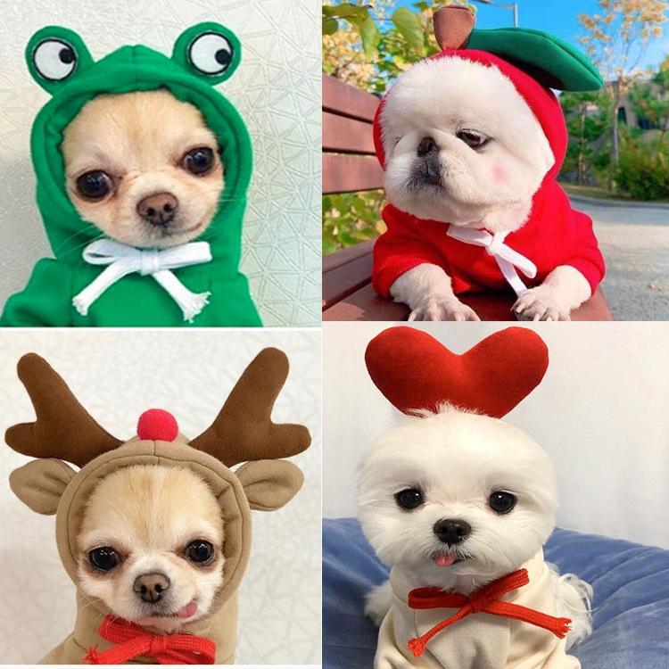 かわいい犬服 小型犬 服 犬服 犬の服 パーカー トレーナー フルーツ カエル ハート コスプレ ドッグウェア 秋冬 秋服 冬服 秋 冬 おしゃれ 可愛い 女の子 男の子 Pet Y Cute 通販 Yahoo ショッピング