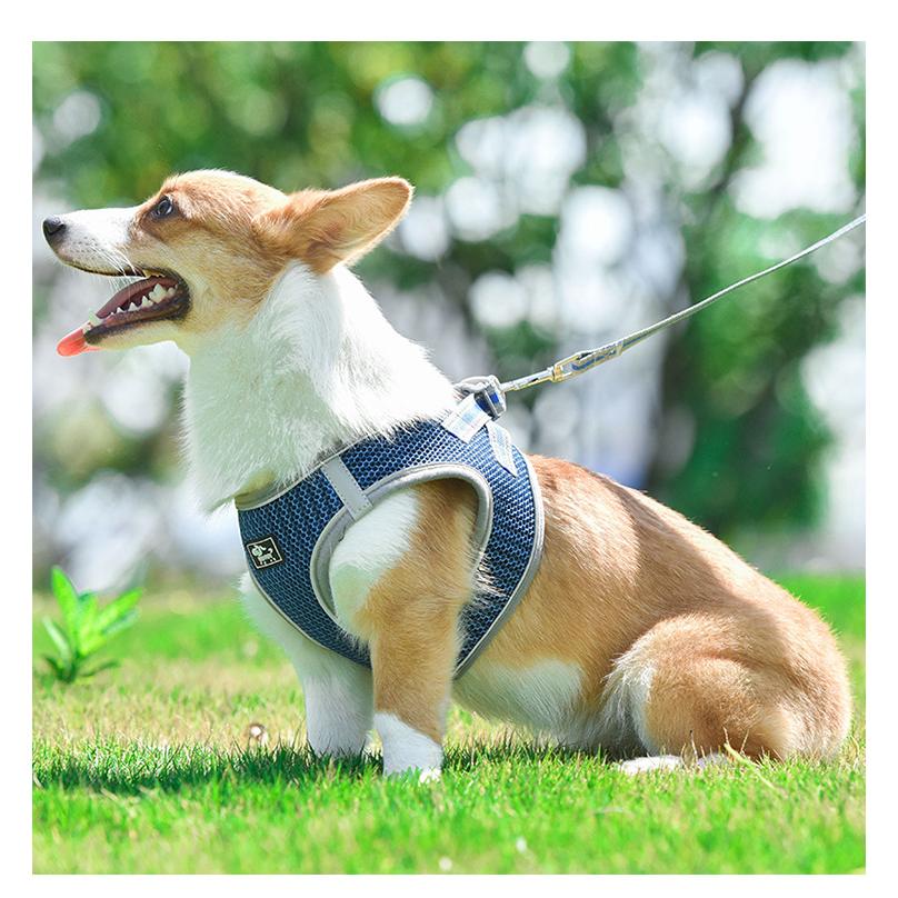 犬 ハーネス リード付 ペット服 ウェアハーネス 胴輪 キャット ドッグ メッシュ 一体型 胸あて式 軽量 調節可能 犬用 小型犬 ペット用品 猫用首輪 猫/犬 可愛い :Pet21032305:Y-cute - 通販 - Yahoo!ショッピング 犬 ハーネス リード付 ペット服 ウェアハーネス 胴輪 キャット ドッグ メッシュ 一体型 胸あて式 軽量 調節可能 犬用 小型犬 ペット用品 猫用首輪 猫/犬 可愛い :Pet21032305:Y-cute - 通販 - Yahoo!ショッピング