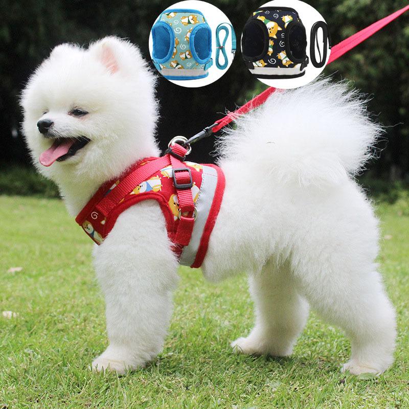 ハーネスリード セット 胴輪 ハーネス リード 一体型 胸あて式 犬 ドッグ Dog 小型犬 中型犬 犬用 猫用 ペット用 犬具 胴輪 散歩 お出かけ 簡単装着 脱げない Pet Y Cute 通販 Yahoo ショッピング