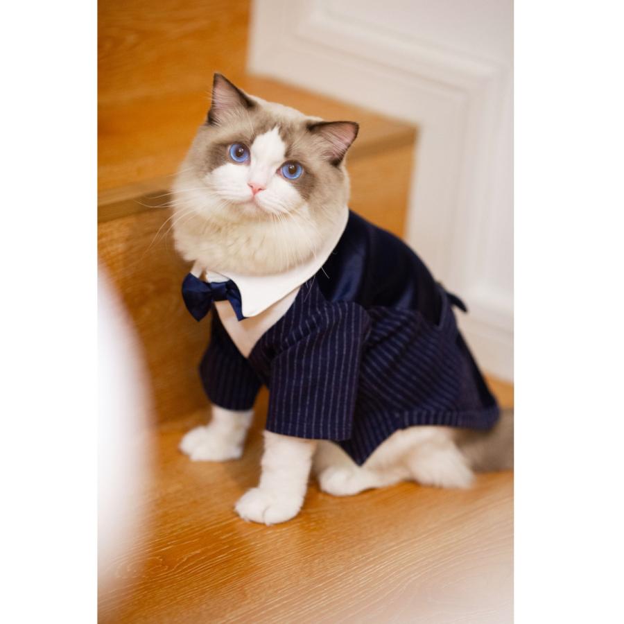 ペット服 犬服 猫服 フォームスーツ 結婚式 タキシード ジャケット コート 披露宴 パーティー ドッグウェア ペット洋服 男の子 小型犬 記念日 お祝い 春夏秋冬 Pet Y Cute 通販 Yahoo ショッピング