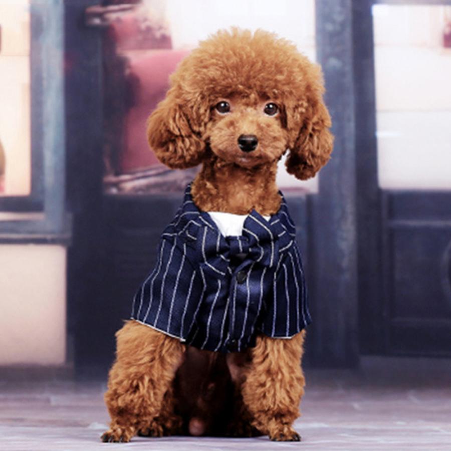 ６枚チェック柄ペアルック ストライプメイドワンピース タキシード紺犬の服わんこ服 Go Study Europe De