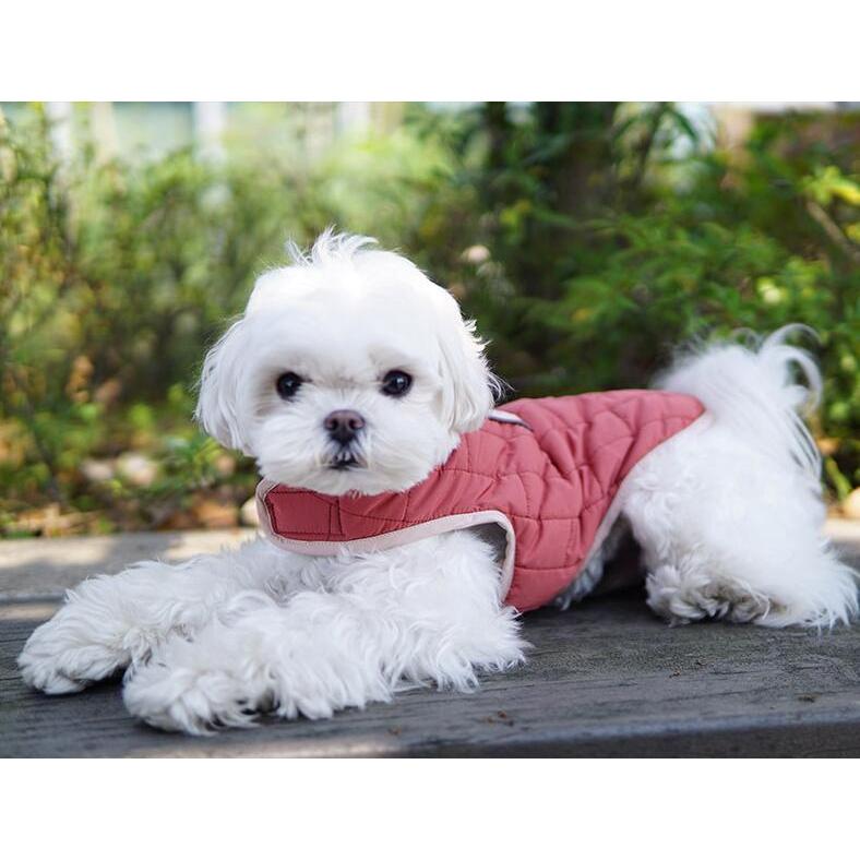 大型犬 犬服 暖か ベスト 冬服 ダウン風ジャケット ジャケット コート おしゃれ 可愛い 防寒 ペット服 中型犬 やわらか あったか 犬の服 小型犬 犬 保温 最大45 Offクーポン 服