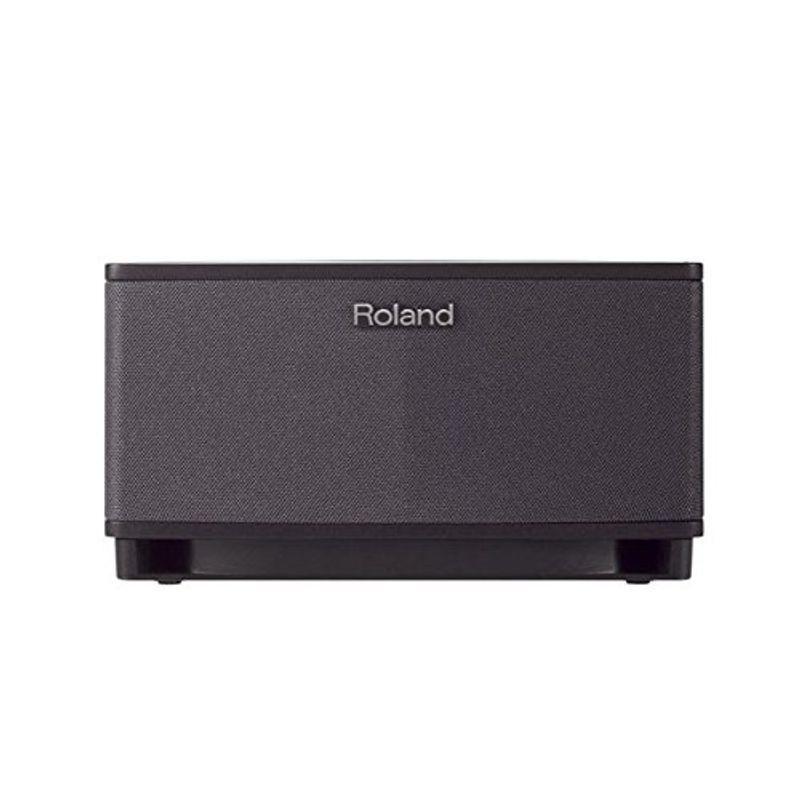 Roland ローランド ギターアンプ CUBE-LT-BK ブラック クリアランス