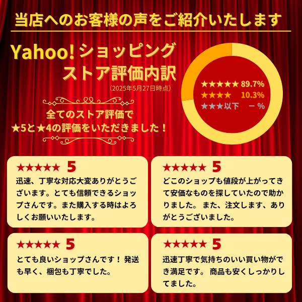 10本 スリングベルト 長さ5m 幅25mm 耐荷重1t ポリエステル製 玉掛け バイク クレーン 牽引 吊り具 ベルトスリング 運搬