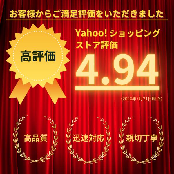 20g バランスウエイト 打込みウエイト スチールホイール用 50個入 鉛製