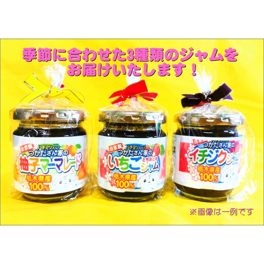 サニーバ つかだ 季節の自家製フルーツジャム3個セット 季節に合わせた3種類のジャムをおまかせで発送致します Nou11 佐野グルメマーケット 通販 Yahoo ショッピング