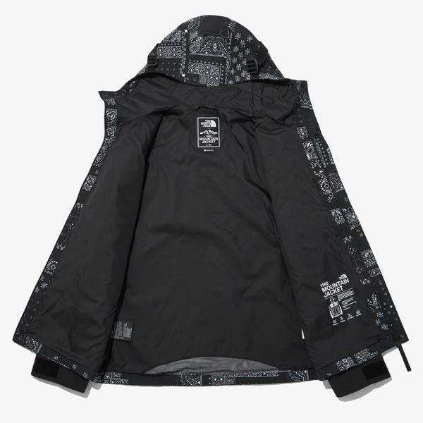 [29980円！先着10名限定]ノースフェイス メンズ レディース マウンテンパーカー 柄 THE NORTH FACE NOVELTY ECO GTX MOUNTAIN JACKET^NJ2GN60【nf160】^｜yellow｜07