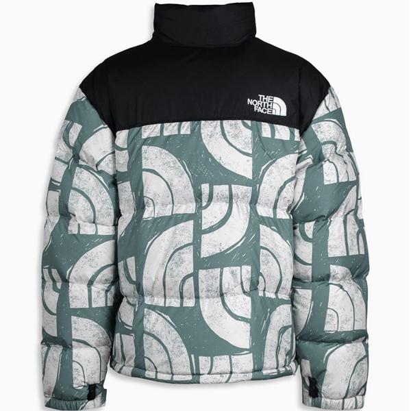 THE NORTH FACE ザ ノースフェイス 2022 秋冬 ダウンジャケット