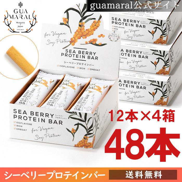 公式ショップ 公式ストア 48本 シーベリー プロテインバー サジー 12本入×4箱 guamaral グアマラル 公式ショップ 公式ストア 48本 シーベリー プロテインバー サジー 12本入×4箱 guamaral グアマラル