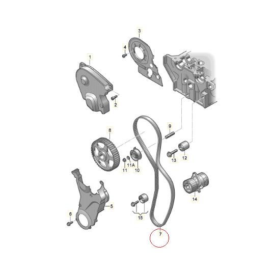 Audi（アウディ） 【CONTITECH】 タイミングベルト [AUDI,アウディ,A4