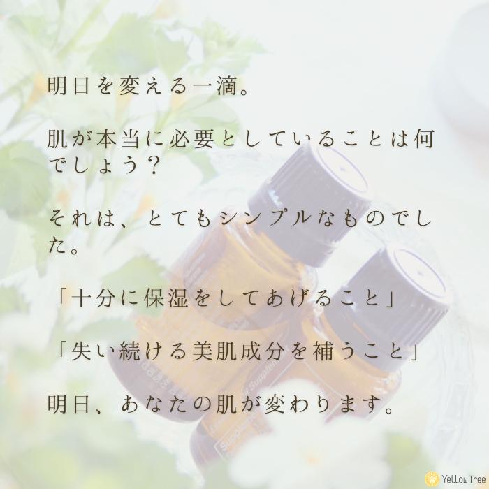 シュセラ モイストローション 120ml 化粧水 保湿 乾燥を防ぐ 肌荒れ防止 乾燥肌 |  | 02