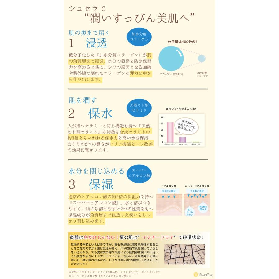 シュセラ モイストローション 120ml 化粧水 保湿 乾燥を防ぐ 肌荒れ防止 乾燥肌 |  | 05