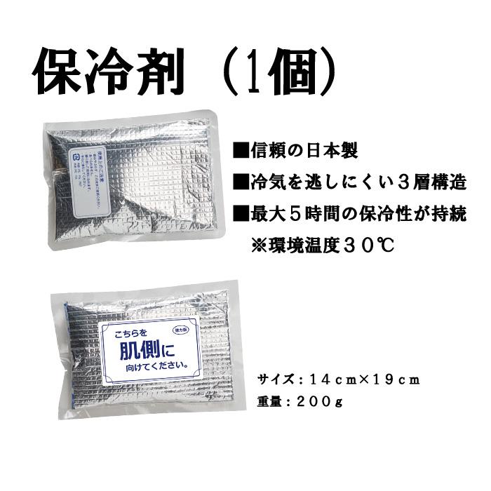 メッシュベスト 保存剤3個付き 冷却ベスト アイスベスト SOWA 桑和 80036 送料無料 | SOWA | 06