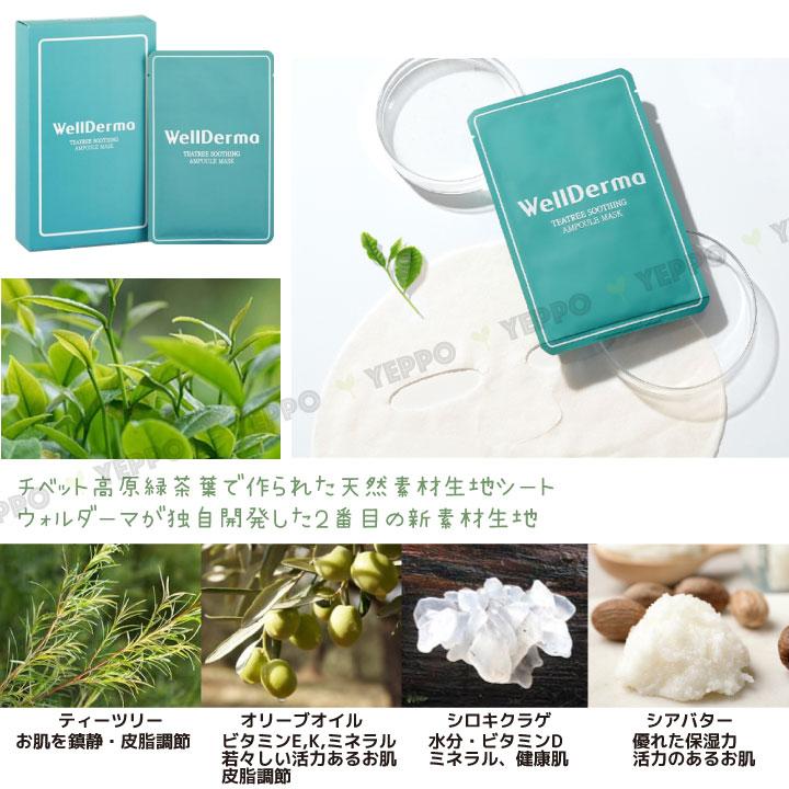 10枚 シートパック (1つ選択) 韓国パック WellDerma ウェルダーマ