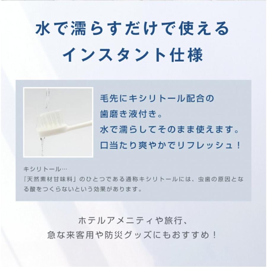 ＼ 800個入り／ 日本製 使い捨て ハブラシ 液体ハミガキ ( キシリトール ) 付  / キシリトール業務用 インスタントハブラシ 歯磨き粉付着タイプ｜yestem｜03