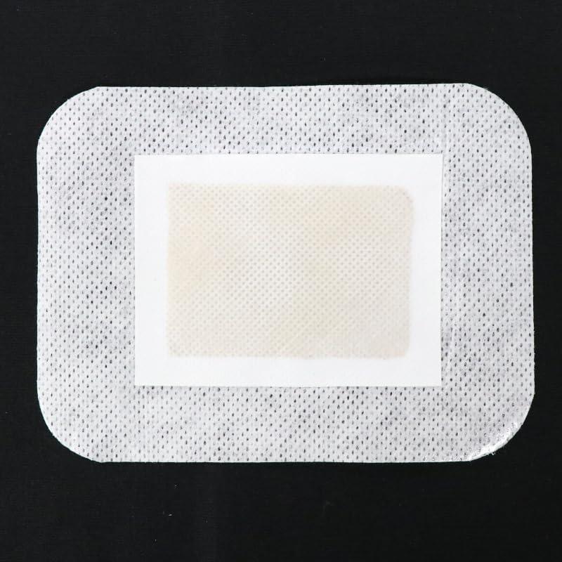 3個セット ／ヒロ・コーポレーション 天然 いきいき樹液シート 30枚入