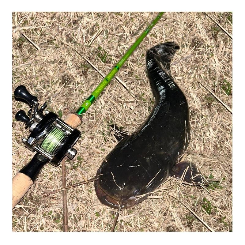 アブ ナマズハンター NAHC-662M : 釣具のFTO ヤフー店 - 通販 - Yahoo