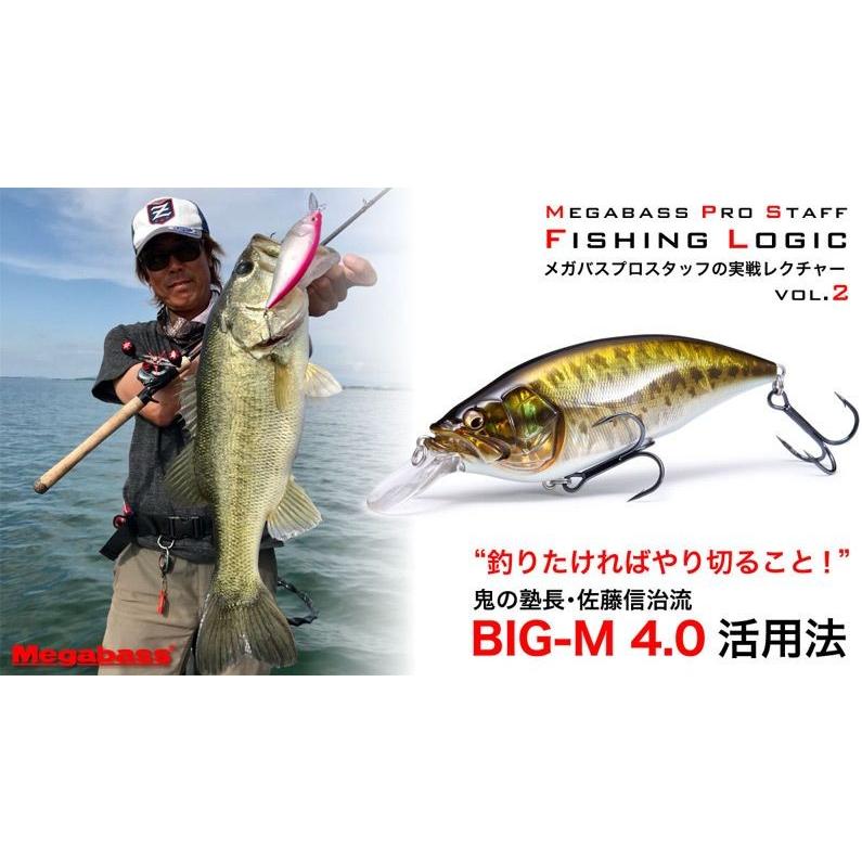 メガバス Big M 4 0 Pmセツキアユ バス ルアー クランクベイト 佐藤信治 サトシン 釣具のfto ヤフー店 通販 Yahoo ショッピング