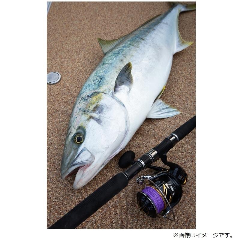 バリバス キャスティングSMP ヒラマサチューン X8 300m 6号 : 釣具の