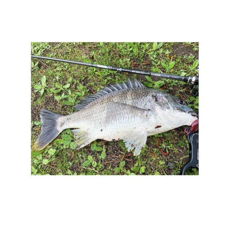 メバル　プラグセット メバリング プラグセット 19個