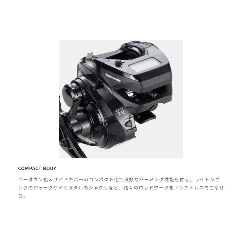 エイテック　ヴィレイヤー DG 100-DH/R　/ 船 両軸 リール 右巻 ダブルハンドル_6