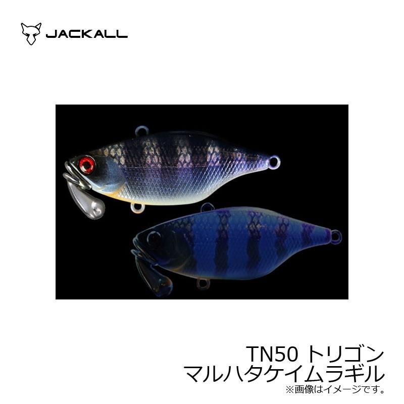 JACKALL（ジャッカル） TN50トリゴン マルハタケイムラギル 50 : 釣具